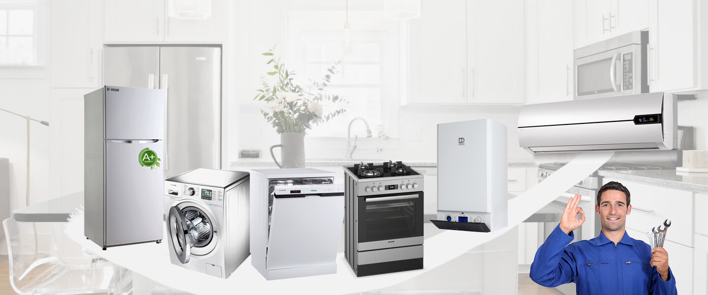 Sultanhisar Windsor Servisi